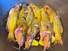 -江湖水乡铁锅炖魚(周庄嘉园店)
