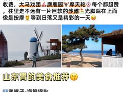 -日照海滨国家森林公园