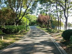 -阳澄湖半岛旅游度假区