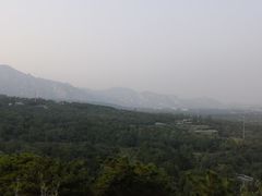 -北京鹫峰国家森林公园