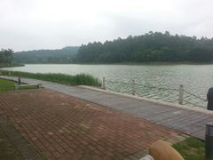 -南国桃园旅游度假区