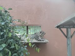 -青藏高原野生动物园