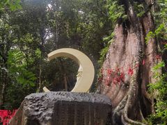 景点-七仙岭温泉国家森林公园