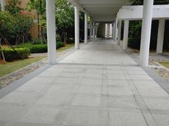 -厦门国家会计学院