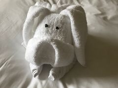 -三亚亚龙湾雅高铂尔曼别墅度假酒店