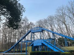 -上海共青森林公园