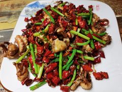 干煸八带-王钵宴遇王龙虾烧烤旗舰店(中山北路店)
