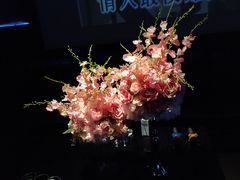 -黑桃K生日订制KTV