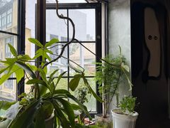 -nodcafe(M50创意园店)