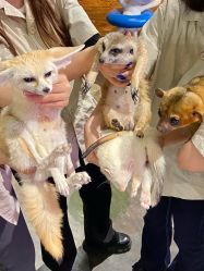 -Zoolung Zoolung动物主题公园(海信广场店)