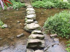 -重庆彩云湖湿地公园