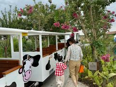 -杭州湾海上花田景区