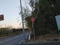 -宏泰园蔬果专业合作社