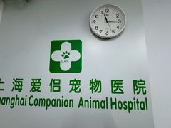 -爱侣宠医·鹦鹉专科·小型哺乳类·异宠专科(灵石路店)