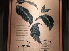 -星巴克(北京万科时代广场店)