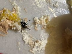 -红宝石·鲜奶小方·海派西点房(南丹店)