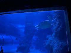 -左海海底世界