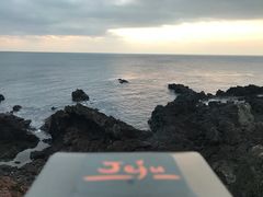-涉地可支