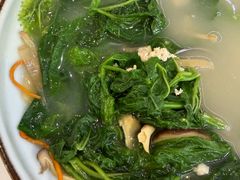 上汤桑叶苗-大榕树下顺德菜(金沙洲永旺店)