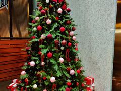 -广州德安丽舍凯宾斯基酒店