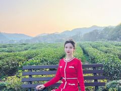 -中国茶叶博物馆(双峰馆区)