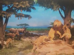 -国家自然博物馆