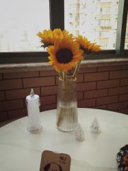 -齐伽生活馆·瑜伽·普拉提·阿育吠陀