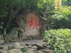 -杭州黄龙洞