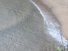 -北岐滩涂
