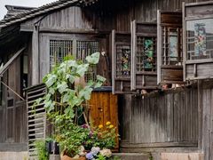 景点-乌镇西栅景区