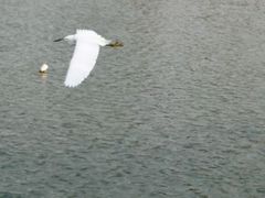 -白塘生态植物园