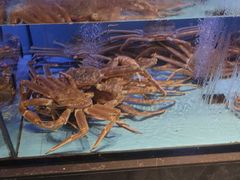 -阿伟海鲜楼·福建菜(延寿店)