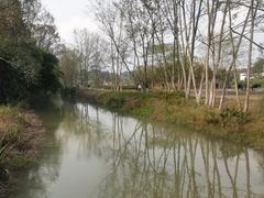 -桤木河湿地公园