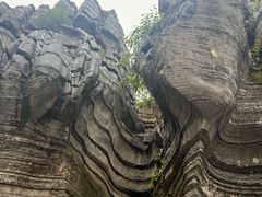 -梭布垭石林景区