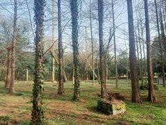 -合肥野生动物园