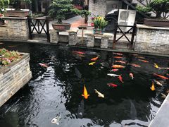 -猪肉婆私房菜(容桂总店)