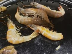 -杨小佳·齐齐哈尔烤肉·烤串(广州店)