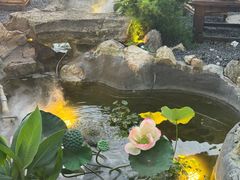 -伴山茶苑·一盏冰茶·半日山居