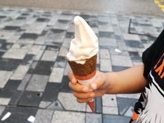 -富豪雪糕车流动点(尖沙咀店)