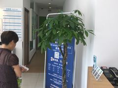 -天使口腔门诊部(上海店)