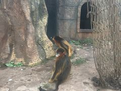 -南昌动物园