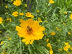 -长兴太湖图影湿地文化园