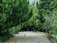 -养马岛旅游度假区