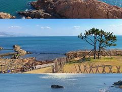 -小麦岛公园