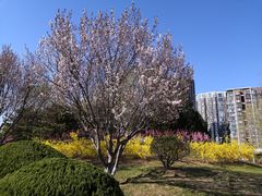 -望湖公园