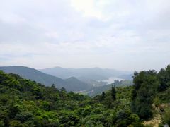 -大姆山草场