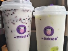-一只酸奶牛(八一路店)