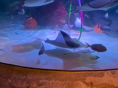 -沈阳海洋探索中心