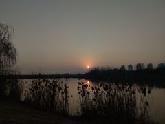 -涵家味土菜馆·徽州一绝臭鳜鱼(三河古镇店)
