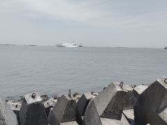 -上海滨江森林公园